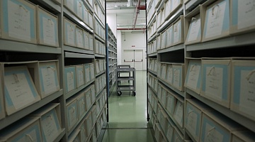 Архитекторы памяти: Кто стоит за порядком в архиве